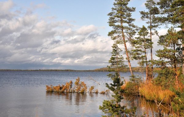 Озеро Вялье Ленинградская область