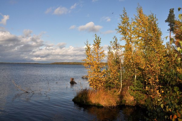 Озеро Мочалище Ленинградская область