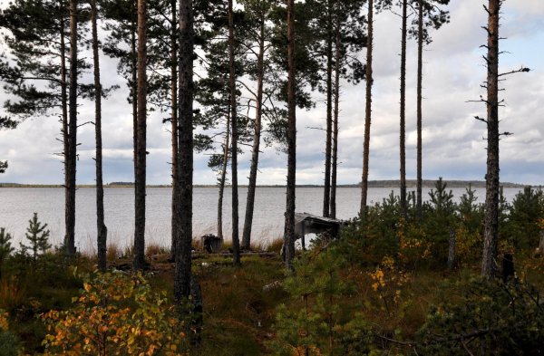 Озеро Вялье Ленинградская