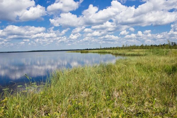 Оз Вялье Ленинградская область