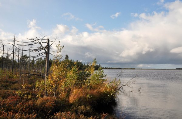 Озеро Вялье Мшинская