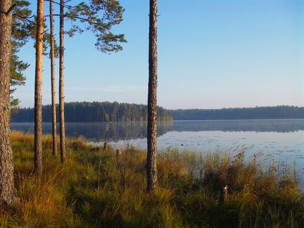 Озеро Стречно Псковская область