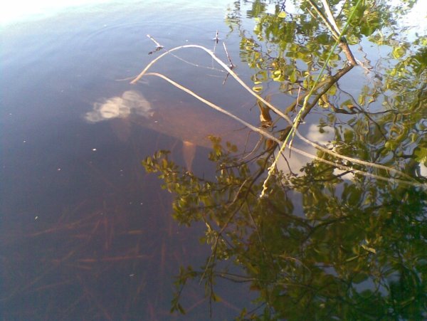 Озеро Вялье