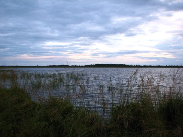 Озеро Велье Ленинградская область