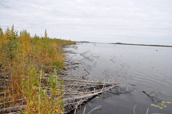 Озеро Стречно Лужский район