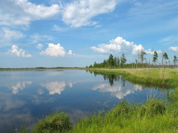 Озеро Вялье