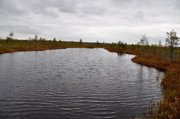 Река Черноголовка Ногинск