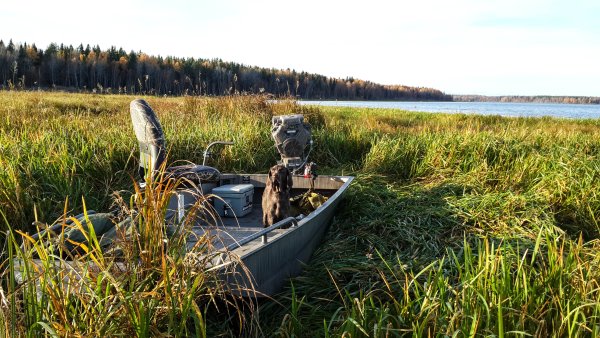 Озеро Вялье Ленинградская область рыбалка