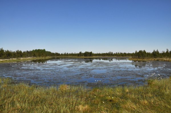 Озеро Вялье