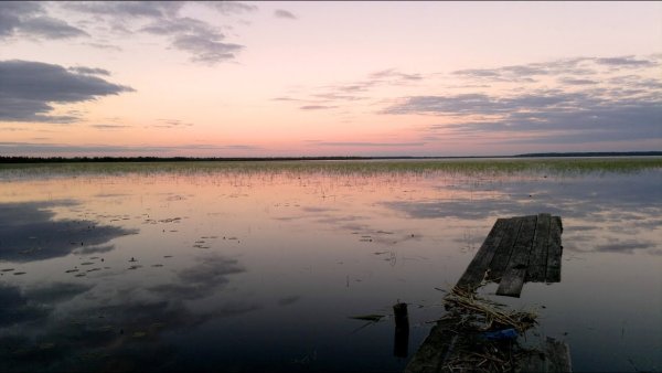 Озеро Вялье Ленинградская