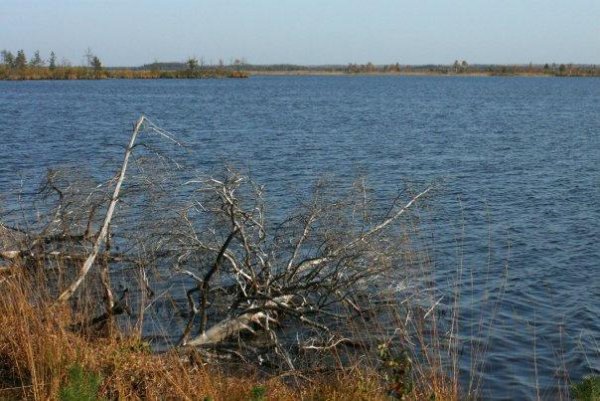 Озеро Велье Ленинградская область