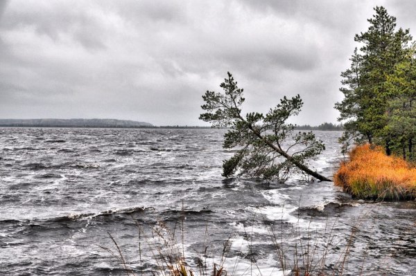 Озеро Мочалище Ленинградская область