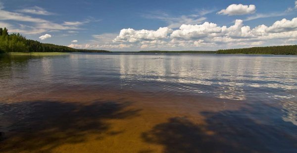Высокинское озеро Выборгский район