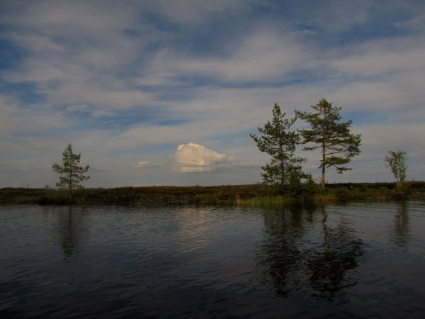 Остров Суйсарь Карелия
