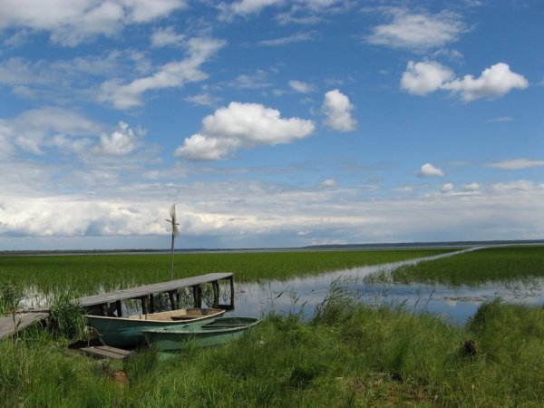 Озеро Велье Ленинградская область