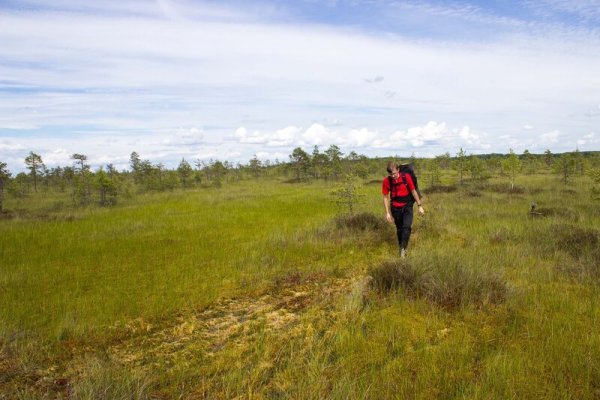 Заказник Мшинское Вялье