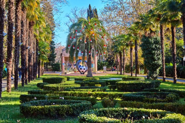 Сочи Адлер парк Ривьера