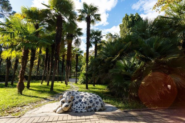 Парк Ривьера Сочи