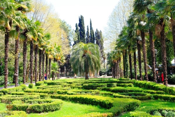 Парк Дендрарий Сочи экскурсия