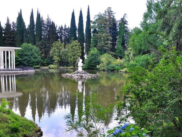 Парк Дендрарий Сочи