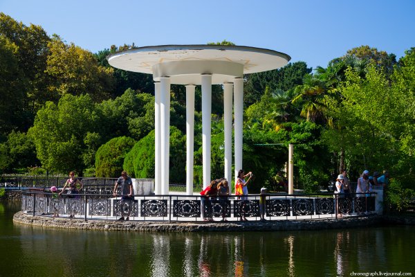 Достопримечательности Сочи парк Дендрарий