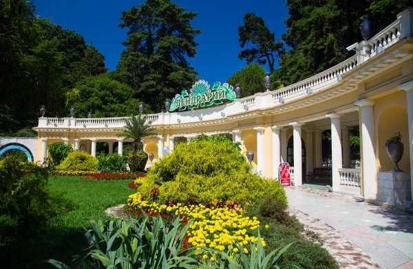 Парк Дендрарий Сочи