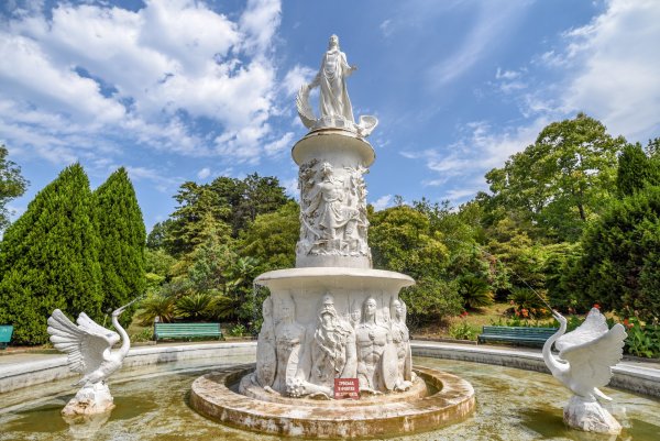 Парк Дендрарий Сочи