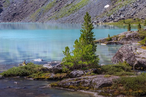 Озеро Манас горный Алтай