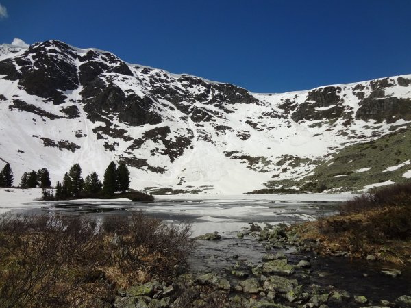 Гора кабарга горный Алтай