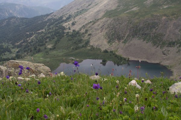 Озеро Манас Чемал