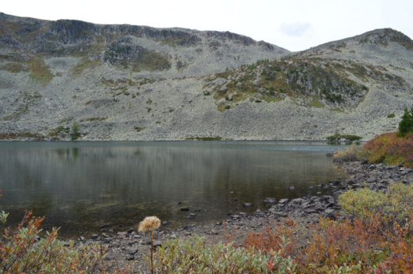 Озеро Манас горный Алтай