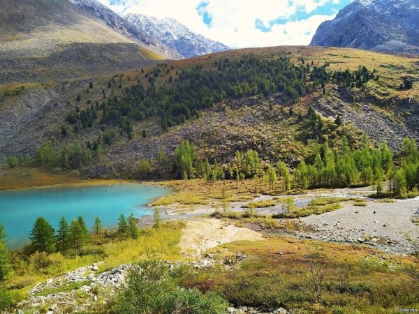 Озеро Манас горный Алтай