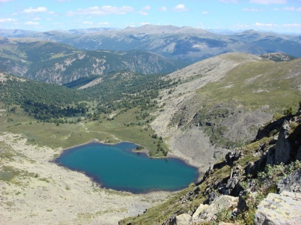 Гора кабарга горный Алтай