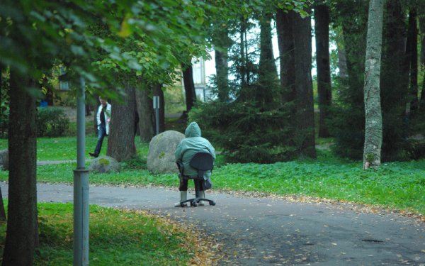 Прикольные парки