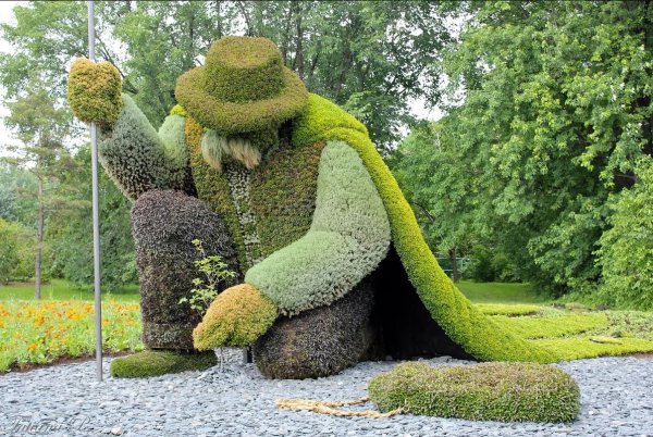 Топиарное искусство Садовники