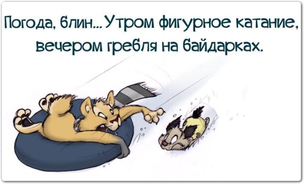 Смешные цитаты про погоду