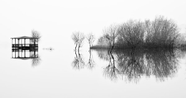 B&W Landscape for presentation