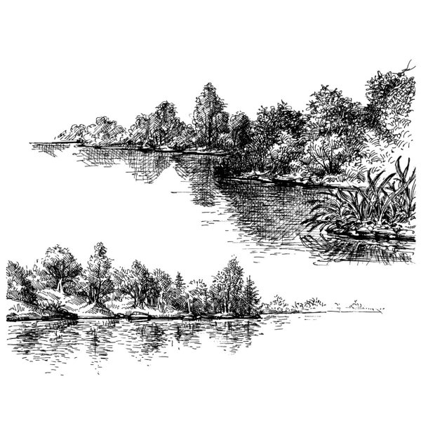 Берег реки