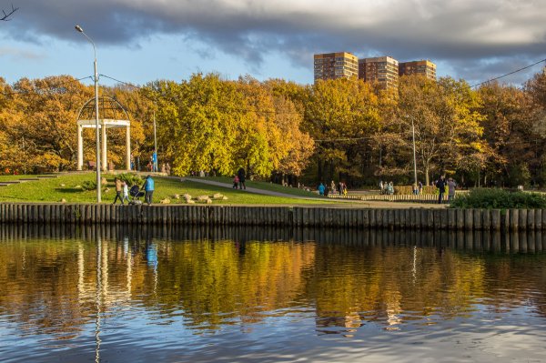 Парк Дубки Тимирязевская