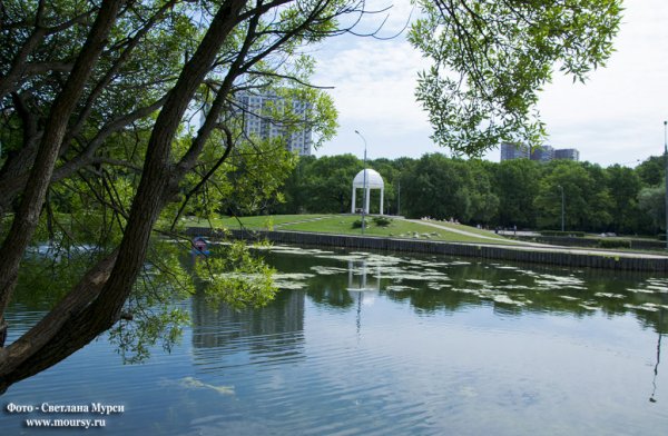 Парк Дубки Троицкое