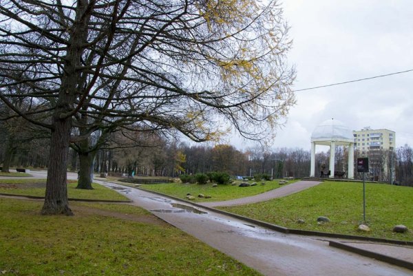 Артемовский парк Дубки