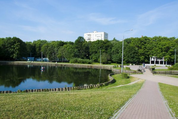 Парк Дубки Тимирязевская