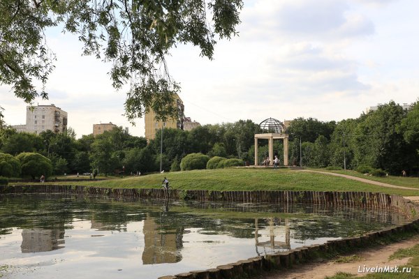 Парк Дубки Москва Тимирязевская