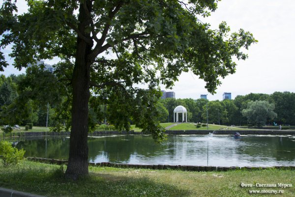 Парк Дубки Троицкое