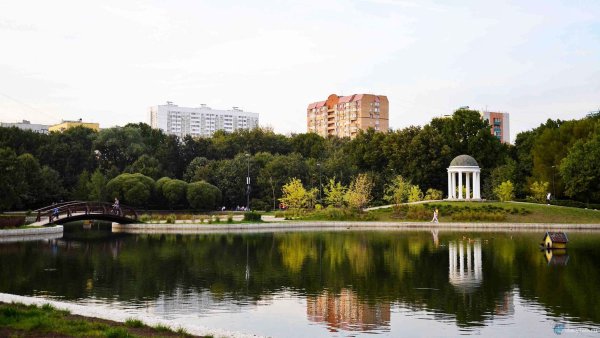 Парк Дубки Тимирязевская