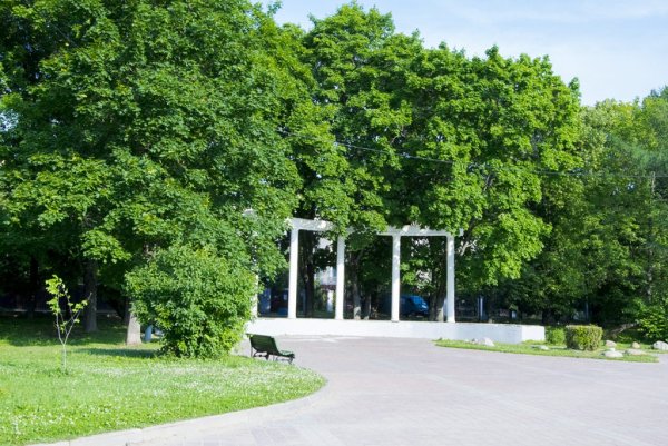 Колоннада парк Дубки