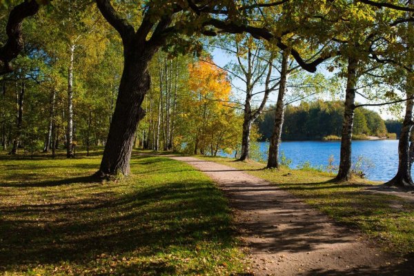 Парк Дубки Санкт-Петербург Сестрорецк