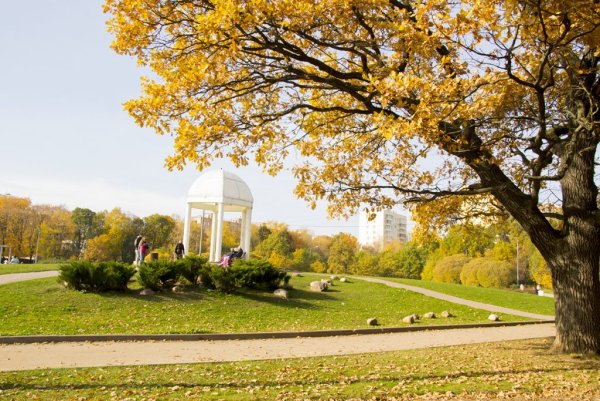 Парк Дубки Тимирязевская