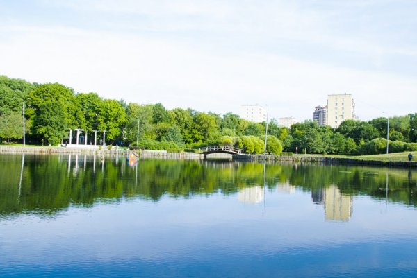 Парк Дубки Тимирязевская