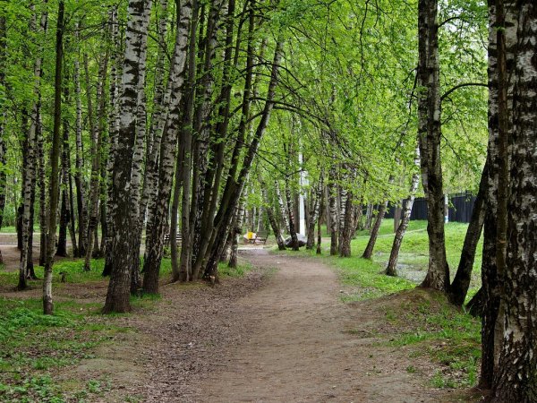 Парк Дубки Климовск